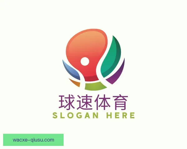 认识球速体育